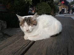 -龙华寺