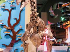 -正佳自然科学博物馆