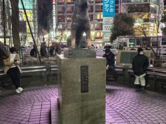 -涩谷全向十字路口