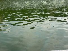 -DGE季风钓虾营地·团建·聚会