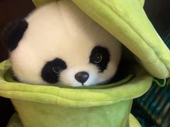 -了凡国风主题茶馆·咖啡(武侯祠锦里店)