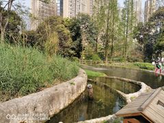 -成都市活水公园