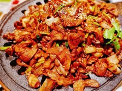 -北平盛世·新京菜·北京烤鸭(劲松·双井店)