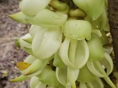 -火炉山森林公园