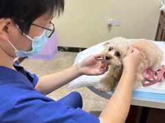 -美联众合动物医院·24h转诊中心