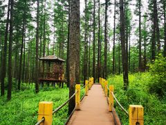 -塞罕坝国家级自然保护区