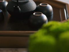 -深圳星河丽思卡尔顿酒店