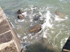 -日照灯塔风景区