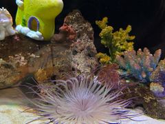 -海合安武汉极地海洋公园