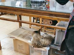 -老味茶屋(川沙老街店)