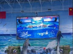 -多彩贵州城极地海洋世界