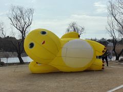 -同里国家湿地公园
