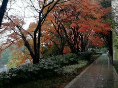 -上海市保健医疗中心