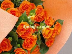 -大隐花事(熊婆婆的花园店)