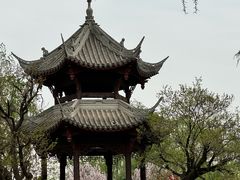 -石家庄市植物园