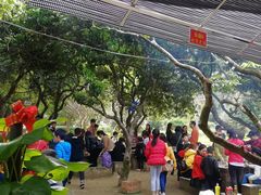 野外自助烧烤+野炊-荔枝园美食山庄(贞山风景区店)