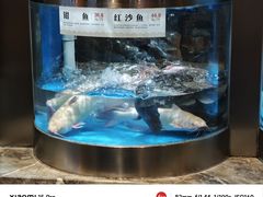 -老船舫·现做活鲜鱼馆(东郊记忆店)