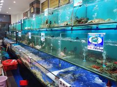 水产区-南海渔家•海鲜•正宗海南菜(海棠湾店)