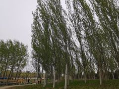 -东郊湿地公园