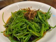 菌香水性杨花-尽善百年古院餐厅(王家老宅店)