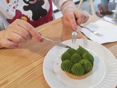 -猫里有甜