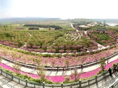 -古柏渡飞黄旅游区