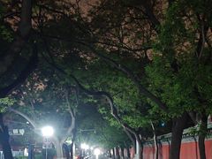 -北京国子监胡同