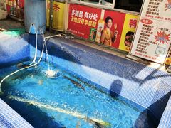 -鸿渡渔庄·特色鸭咀鱼