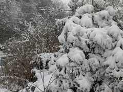 -武陵山森林公园