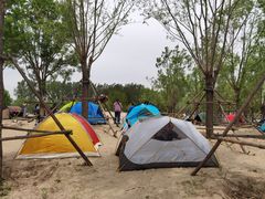 -东郊湿地公园