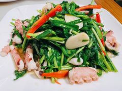 韭菜炒八爪鱼-华盛丰温州大排档(东三环南路店)