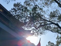 -西园戒幢律寺