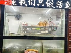 -肥鱼屯活鱼锅(惠工街店)