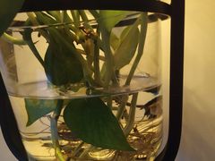 -孙三拨按摩(大纺店)