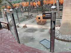-呀路古热带植物园