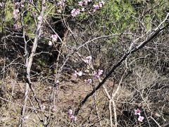 -青州市云门山风景区
