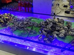-星海汇海鲜自助烤肉火锅(百大店)