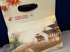 -成都天府丽都喜来登饭店