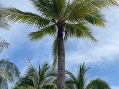 -三亚西岛海洋文化旅游区