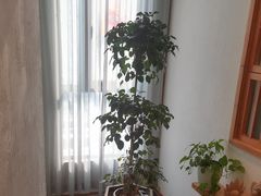 -瓦舍茶馆(聚源路店)
