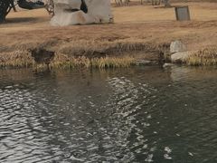 -丁家河公园