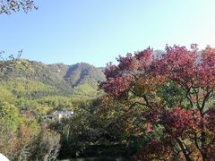 -塔川景区