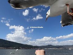 -海埂大坝
