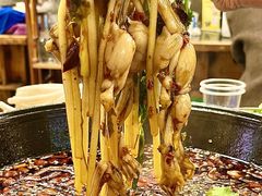 -鸿顺老铁锅美蛙鱼府(解放碑店)