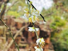 -北寺塔
