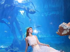 -华夏文旅西安度假区