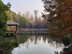 -上海滨江森林公园