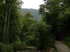 -山沟沟景区