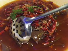 川城毛血旺-青年公社烤鸭(蜀山万象汇店)