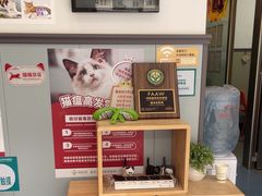 -伟伟宠物医院·瑞派猫友好医院·猫科(光谷店)